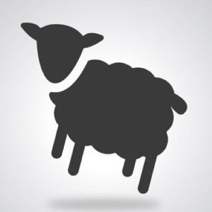 Meet your Posher, Trevor